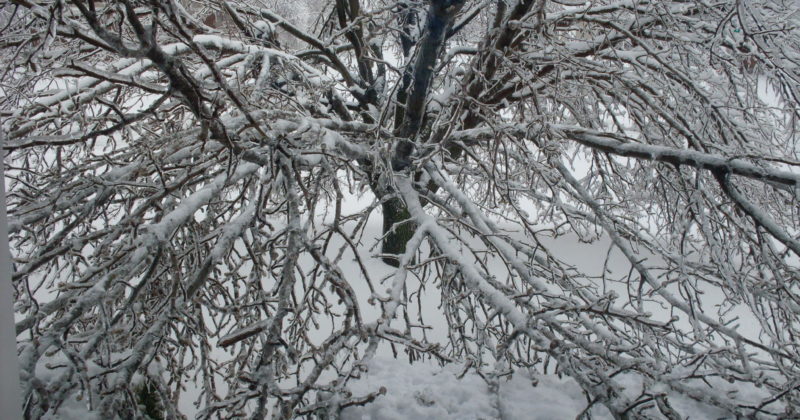 Ice storm