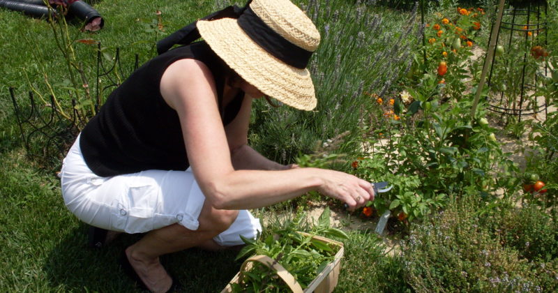 Gardening can add years to your life!