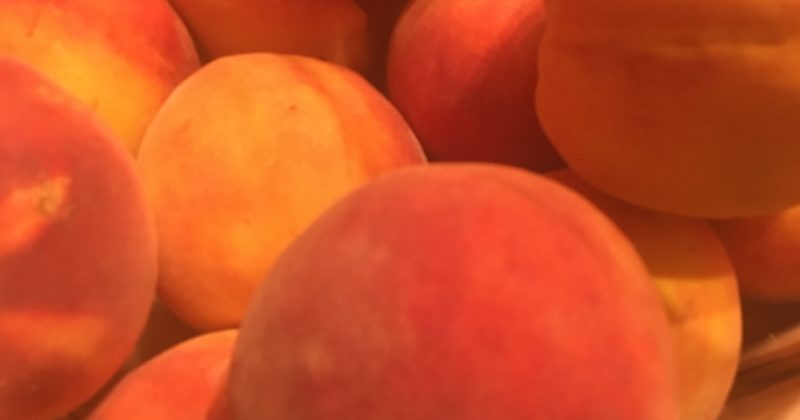 Oh the peaches!